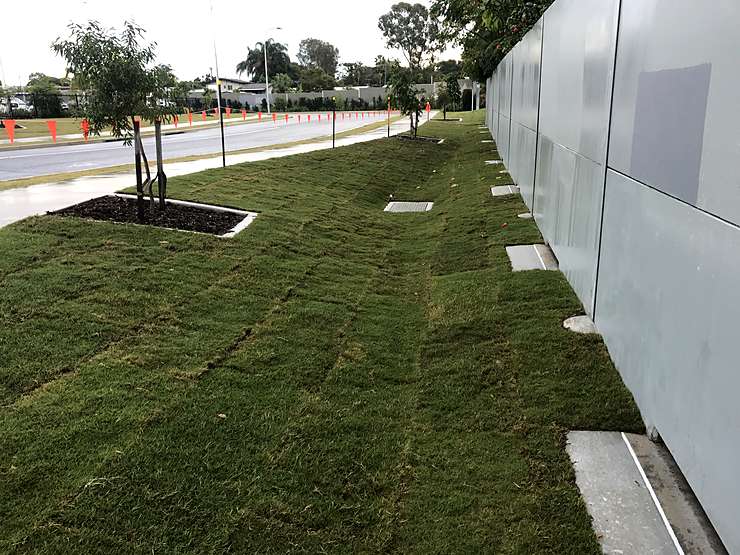 Fresh turf lined drain